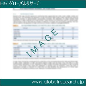 グローバルリサーチ調査レポートのイメージ
